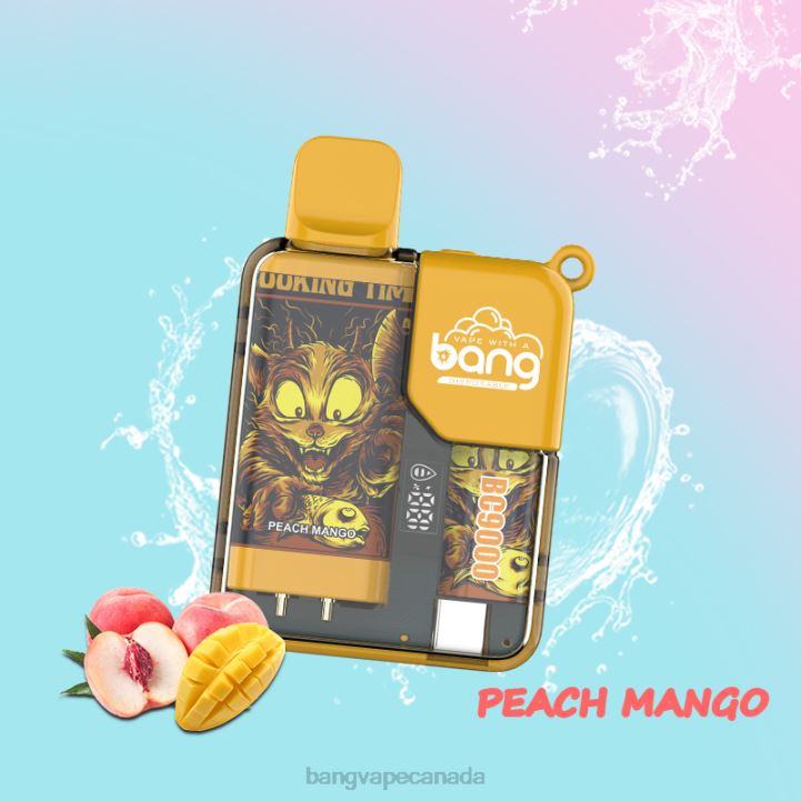 Bang Vape Box BC9000 Prefilled 16ml 86FDT26 Disposable vape gang disposables