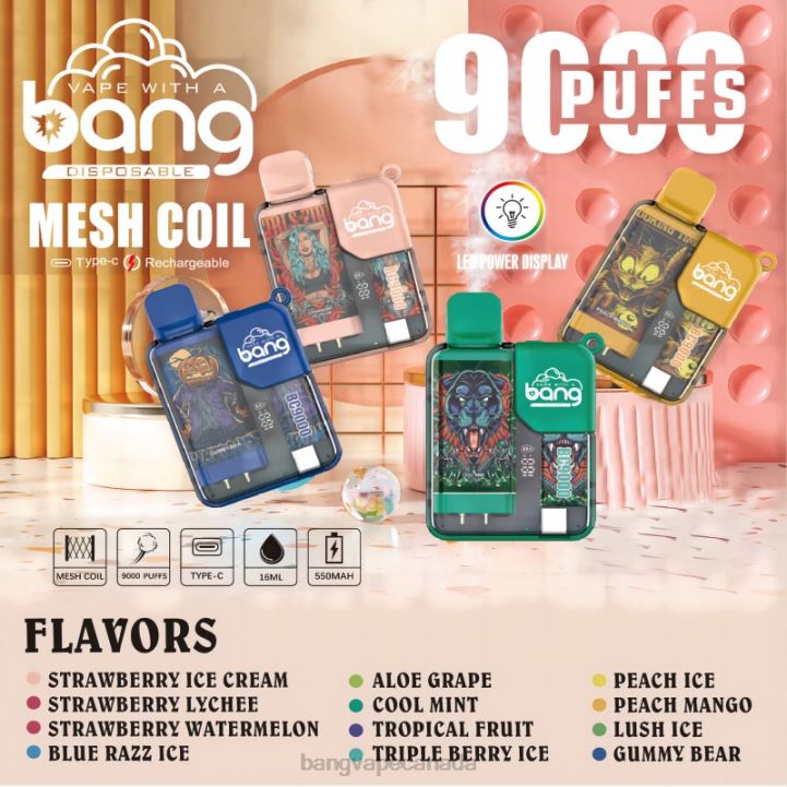 Bang Vape Box BC9000 Prefilled 16ml 86FDT26 Disposable vape gang disposables
