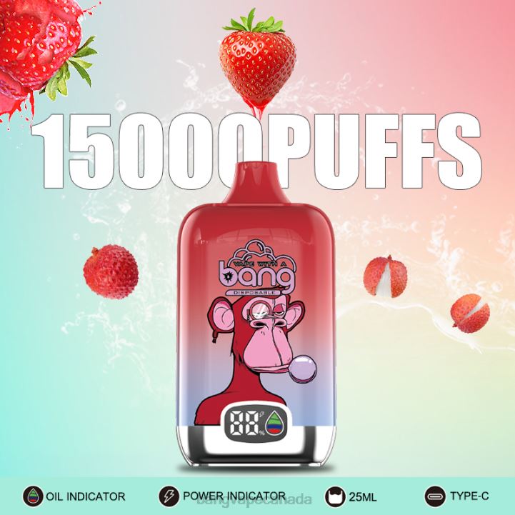 Bang Vape Digital Smart Screen 15000 puffs 25ml 86FDT211 Disposable vape gang canada