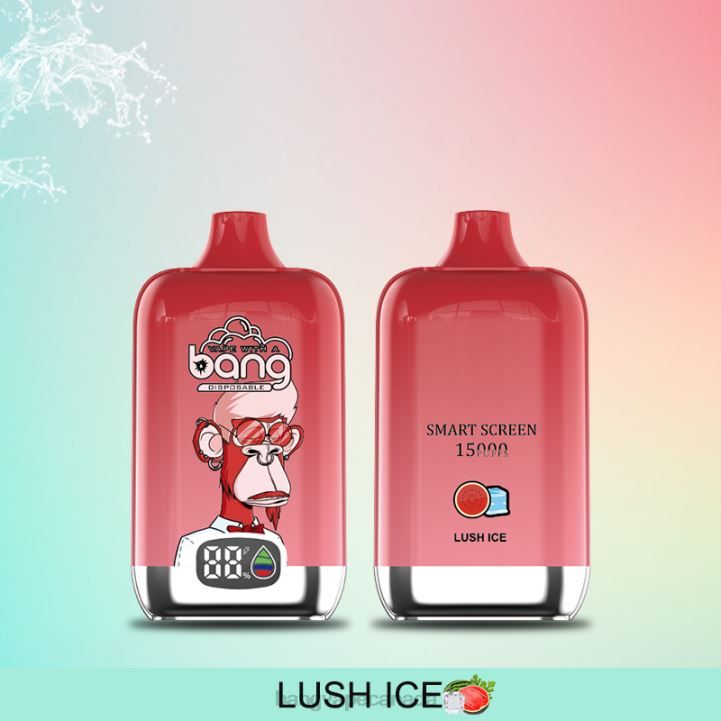 Bang Vape Digital Smart Screen 15000 puffs 25ml 86FDT211 Disposable vape gang canada