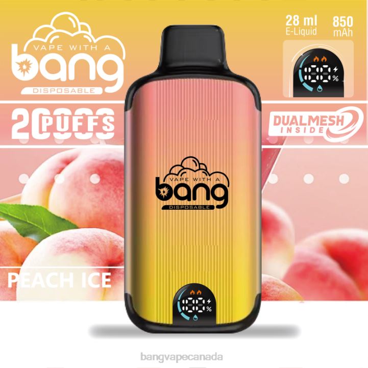 Bang Vape Digital Smart Screen 20000 puffs 86FDT23 Disposable Bang Vape toronto
