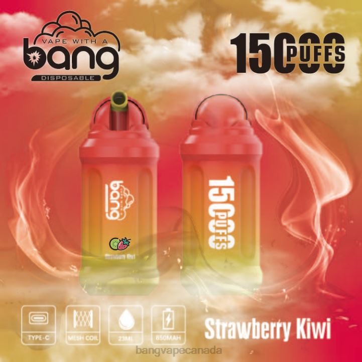 Bang Vape 15000 puffs 86FDT21 Disposable vape gang canada
