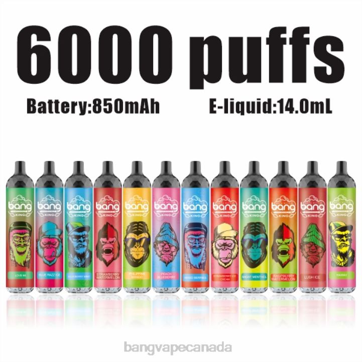 Bang Vape King 6000 puffs 5% Nic Rechargeable Type-C 86FDT28 Disposable gang vape price