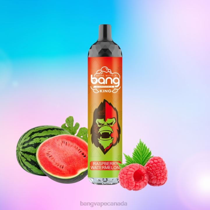 Bang Vape King 6000 puffs 5% Nic Rechargeable Type-C 86FDT28 Disposable gang vape price