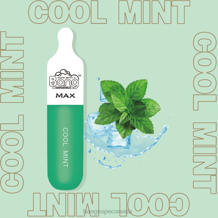 Bang Vape Max 5000 Puff Bar 86FDT210 Disposable Bang Vape disposable