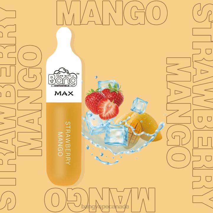 Bang Vape Max 5000 Puff Bar 86FDT210 Disposable Bang Vape disposable