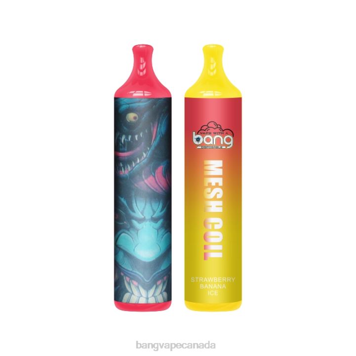 Bang Vape Mesh Coil 3500 puffs 2% Nic 86FDT27 Disposable vape gang shop