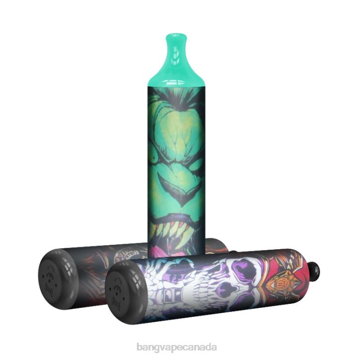 Bang Vape Mesh Coil 3500 puffs 2% Nic 86FDT27 Disposable vape gang shop