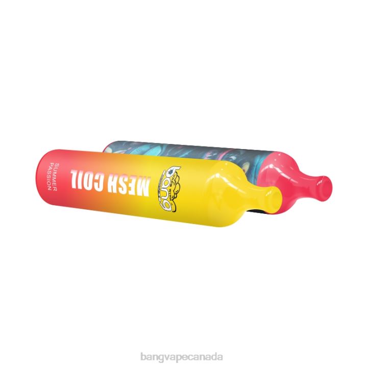 Bang Vape Mesh Coil 3500 puffs 2% Nic 86FDT27 Disposable vape gang shop