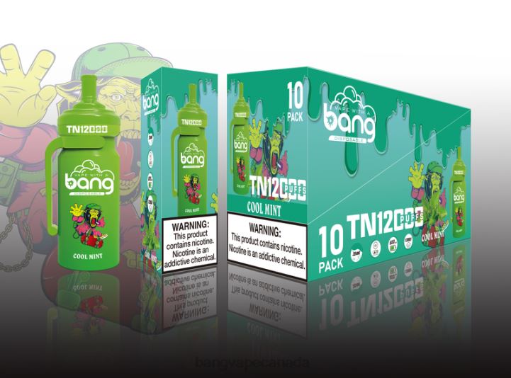 Bang Vape TN12000 Pod with Mesh Coil 86FDT25 Disposable buy Bang Vapes online
