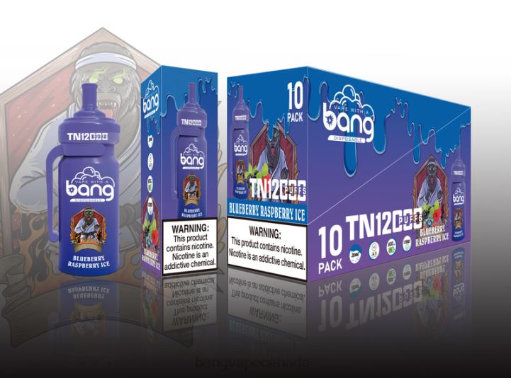 Bang Vape TN12000 Pod with Mesh Coil 86FDT25 Disposable buy Bang Vapes online