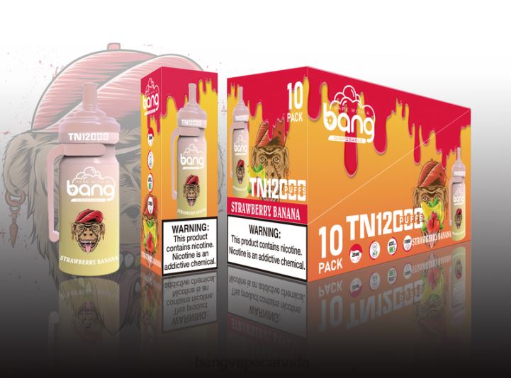 Bang Vape TN12000 Pod with Mesh Coil 86FDT25 Disposable buy Bang Vapes online