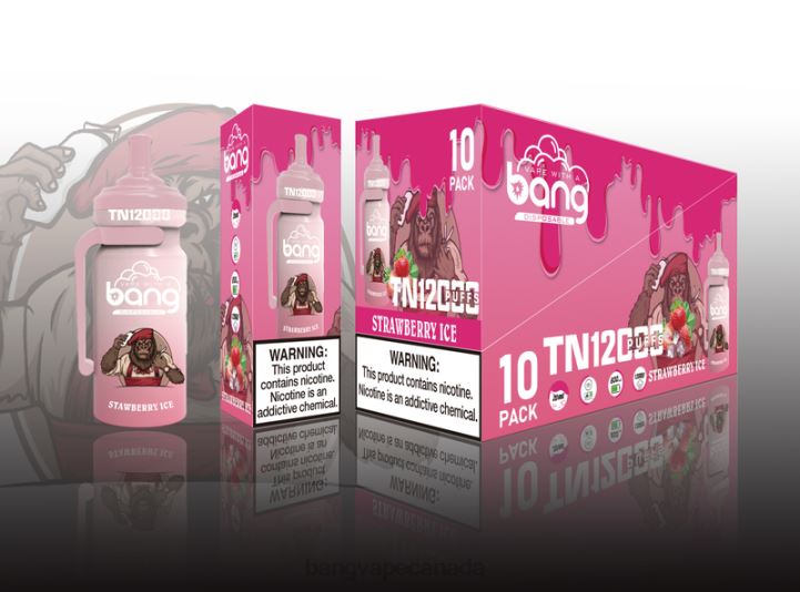 Bang Vape TN12000 Pod with Mesh Coil 86FDT25 Disposable buy Bang Vapes online