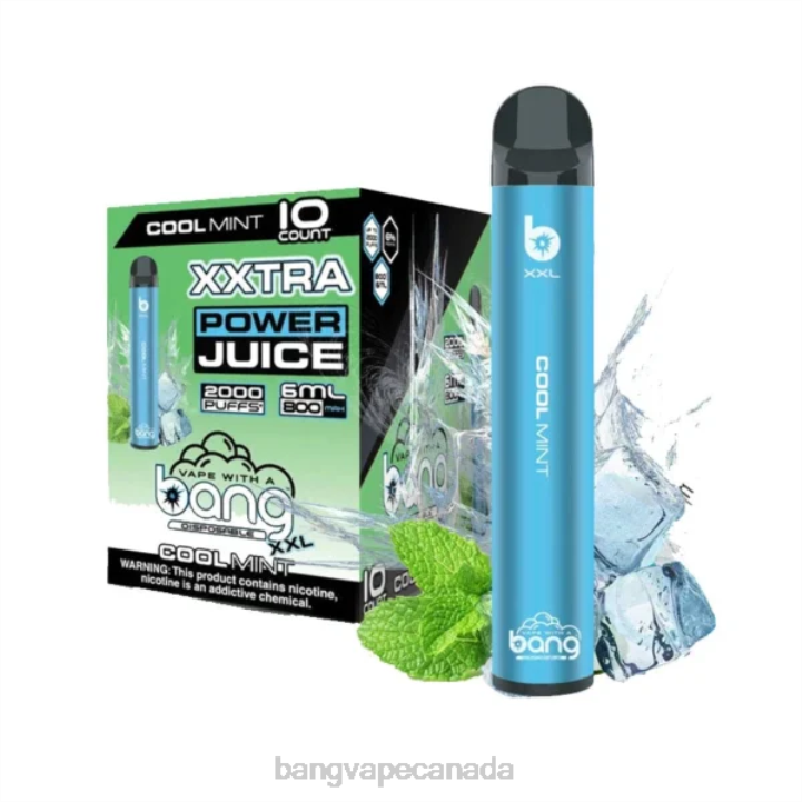 Bang Vape XXL 2000 puffs 86FDT216 Cool Mint vape gang disposables