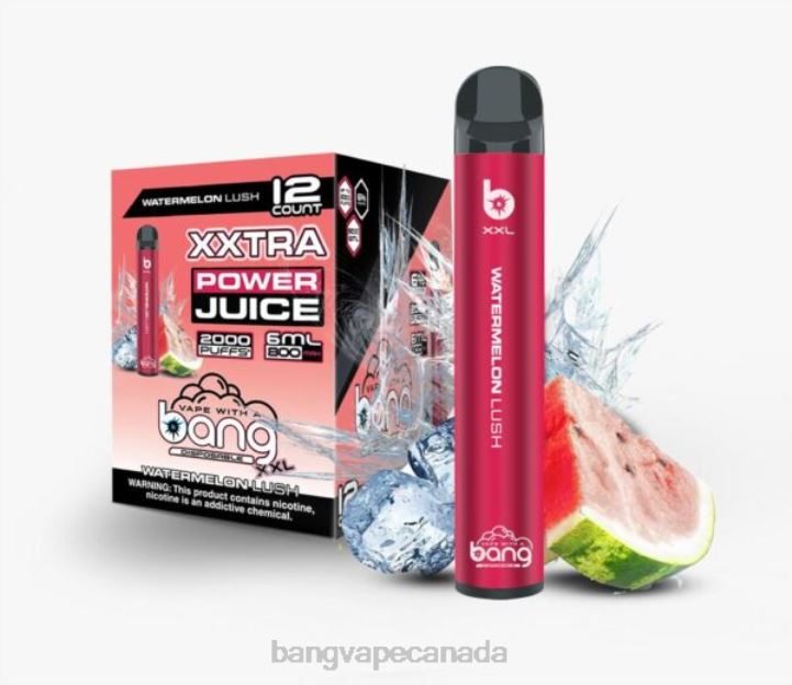 Watermelon Lush