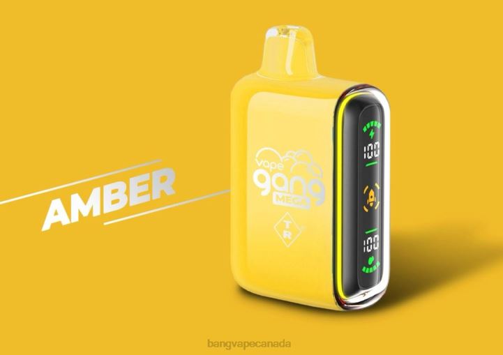 Vape Gang MEGA 20,000 puffs Disposable Vape (Box of 5) 86FDT250 Amber Bang Vape disposable