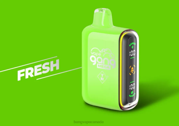 Vape Gang MEGA 20,000 puffs Disposable Vape (Box of 5) 86FDT253 Fresh vape gang ottawa