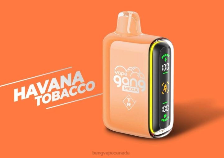 Vape Gang MEGA 20,000 puffs Disposable Vape (Box of 5) 86FDT255 Havana Tobacco Bang Vape toronto
