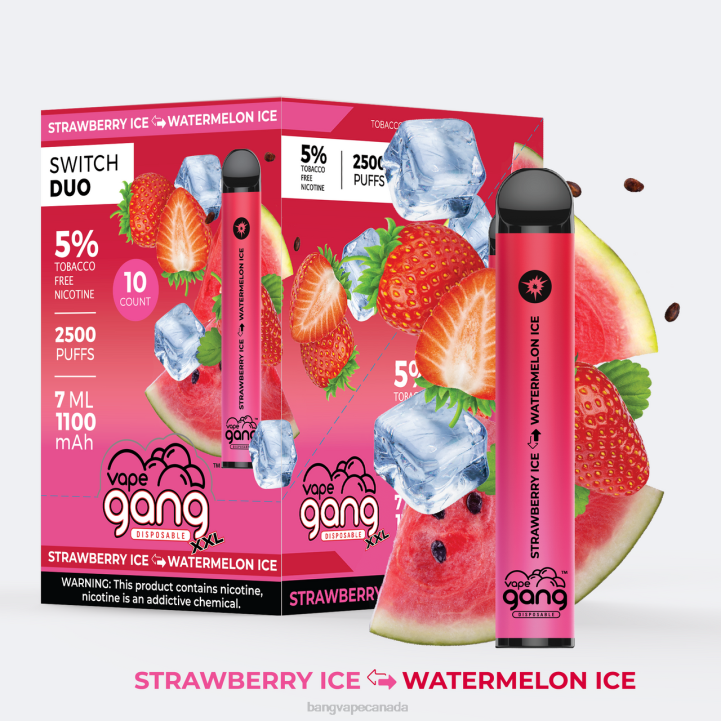 Vape Gang Switch Duo 2 flavors (Box of 10) 86FDT247 Strawberry Ice - Watermelon Ice vape gang shop