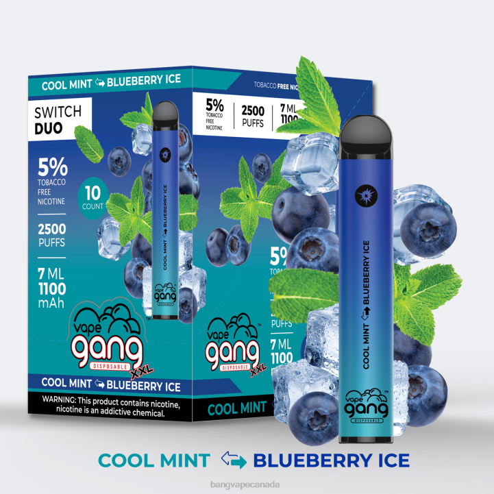 Vape Gang Switch Duo 2 flavors (Box of 10) 86FDT247 Strawberry Ice - Watermelon Ice vape gang shop