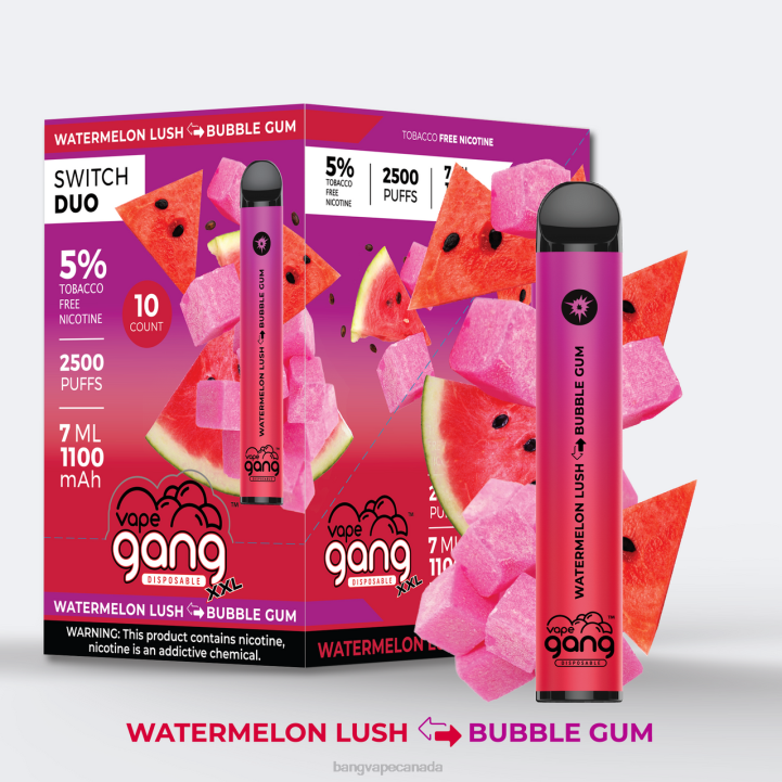 Vape Gang Switch Duo 2 flavors (Box of 10) 86FDT249 Watermelon Lush - Bubble Gum vape gang flavors