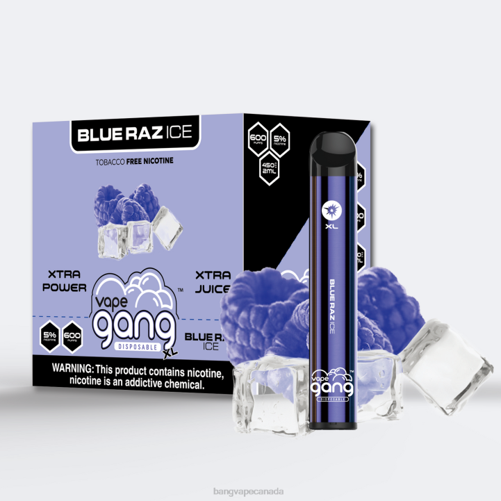 Vape Gang XL Disposable Vapes 600 puffs (Box of 10) 86FDT261 Blue Raz Ice vape gang flavors