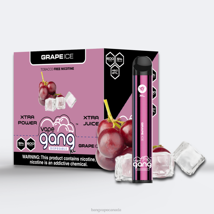 Vape Gang XL Disposable Vapes 600 puffs (Box of 10) 86FDT262 Grape Ice Bang Vape disposable