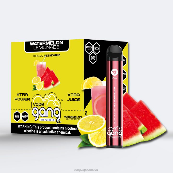 Vape Gang XL Disposable Vapes 600 puffs (Box of 10) 86FDT265 Watermelon Lemonade Bang Vape toronto