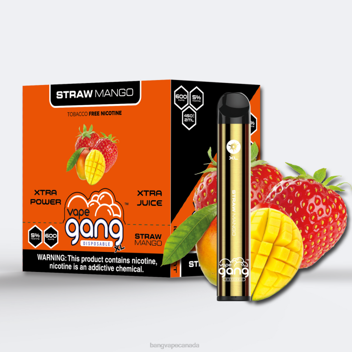 Vape Gang XL Disposable Vapes 600 puffs (Box of 10) 86FDT266 Straw Mango Bang Vape canada