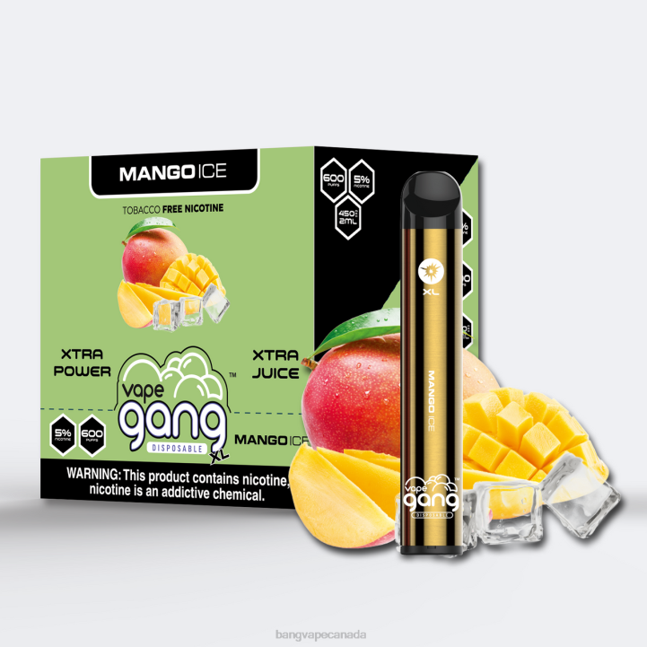 Vape Gang XL Disposable Vapes 600 puffs (Box of 10) 86FDT268 Mango Ice vape gang disposables