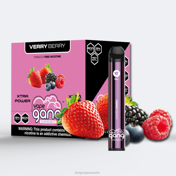 Vape Gang XL Disposable Vapes 600 puffs (Box of 10) 86FDT269 Verry Berry vape gang shop