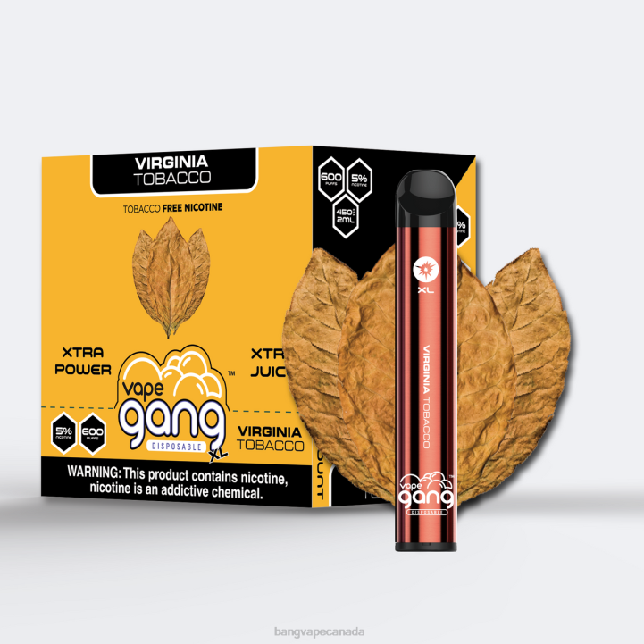 Vape Gang XL Disposable Vapes 600 puffs (Box of 10) 86FDT270 Virginia Tobacco gang vape price