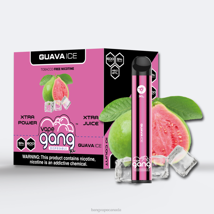 Vape Gang XL Disposable Vapes 600 puffs (Box of 10) 86FDT272 Guava Ice Bang Vape disposable