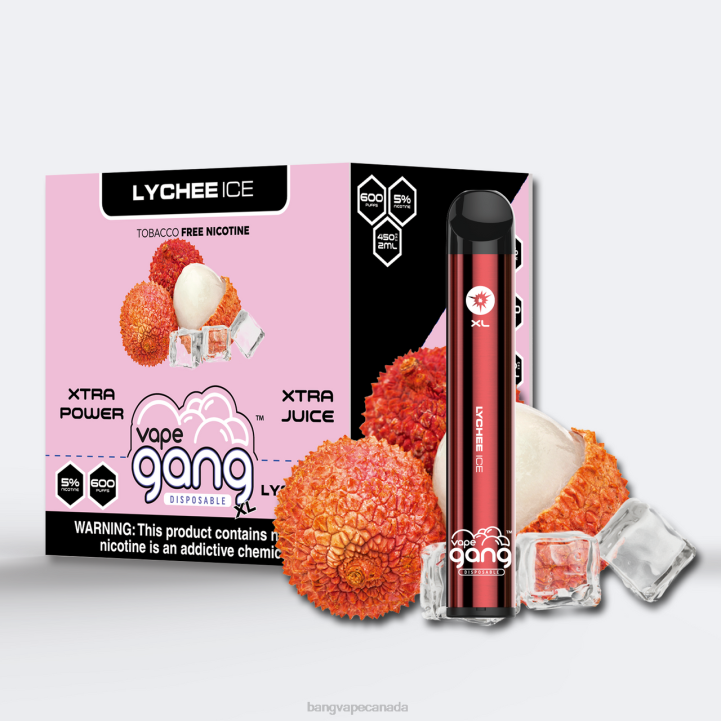 Vape Gang XL Disposable Vapes 600 puffs (Box of 10) 86FDT275 Lychee Ice Bang Vape toronto
