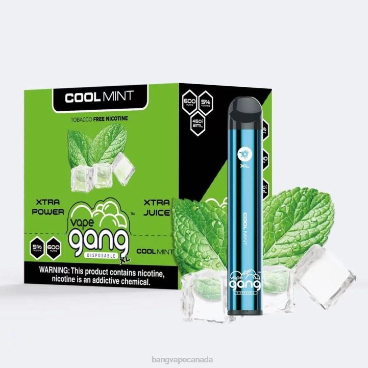 Cool Mint